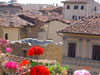 Borgo La Noce Apartments :: provides you with vacation and student apartment rentals in Florence