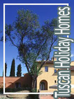 Tuscan Holiday Homes Vacation Rentals